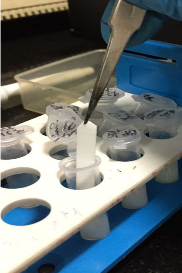 Florecer Laboratory